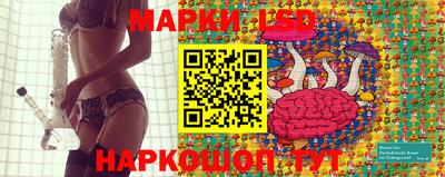 амф Донской