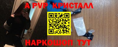 амф Донской