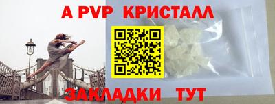амф Донской