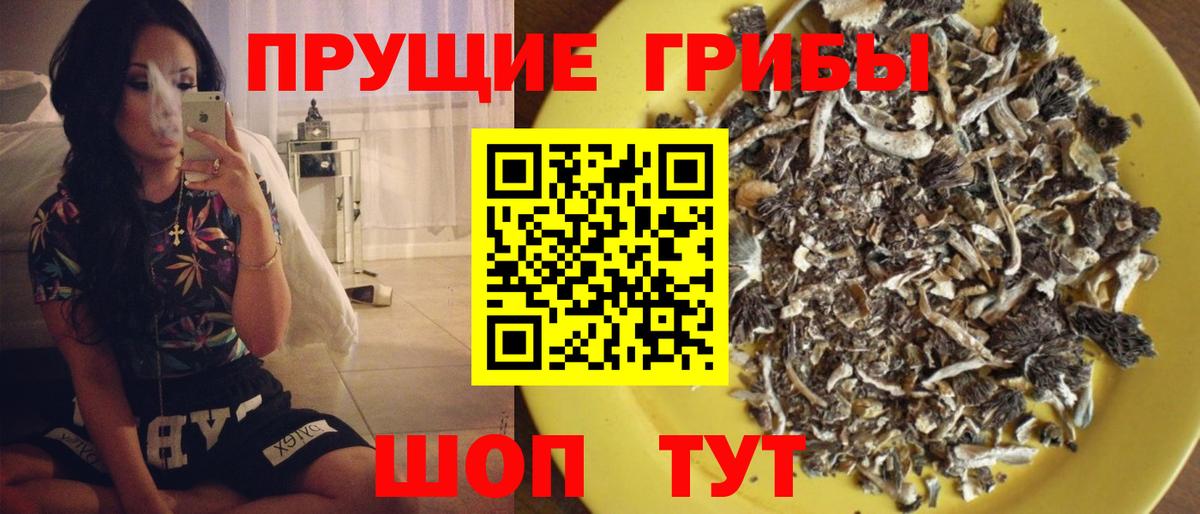 Псилоцибиновые грибы Magic Shrooms Тимашёвск