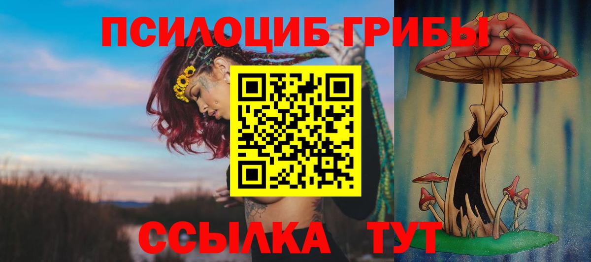 Тимашёвск  Галлюциногенные грибы Cubensis  Вход с VPN  Псилоцибиновые грибы Cubensis 
